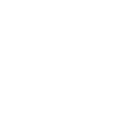 CarMax Inc. Share Price